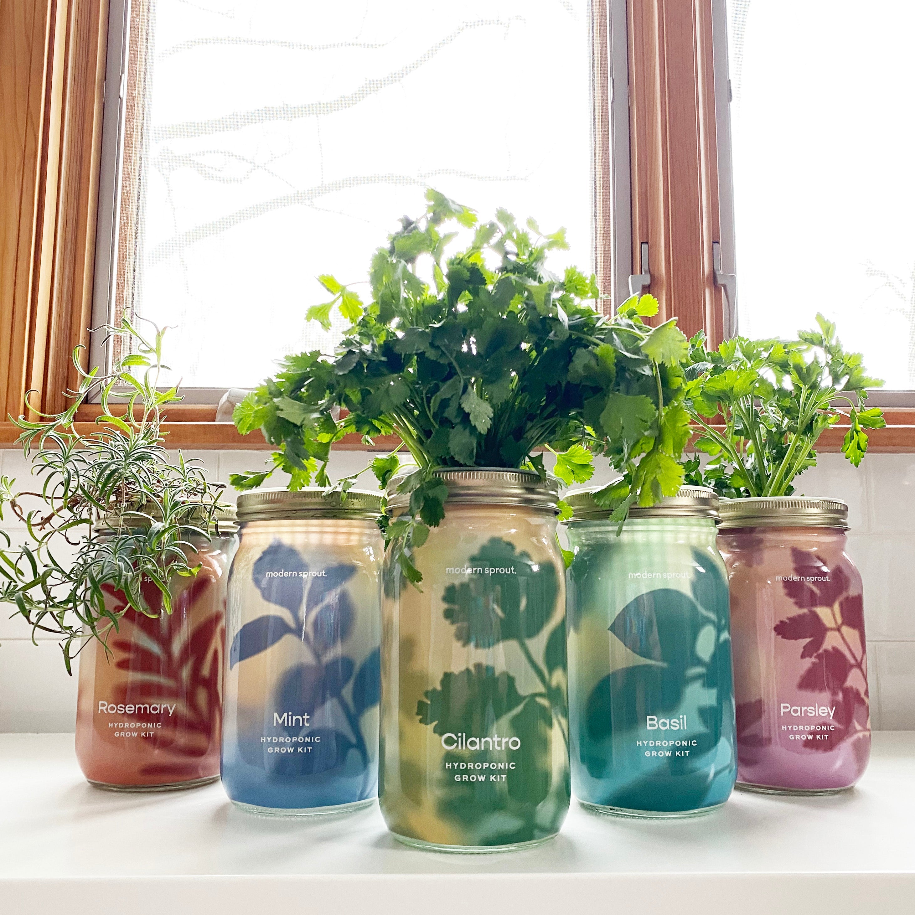 New! Garden Jars - Organic Herbs