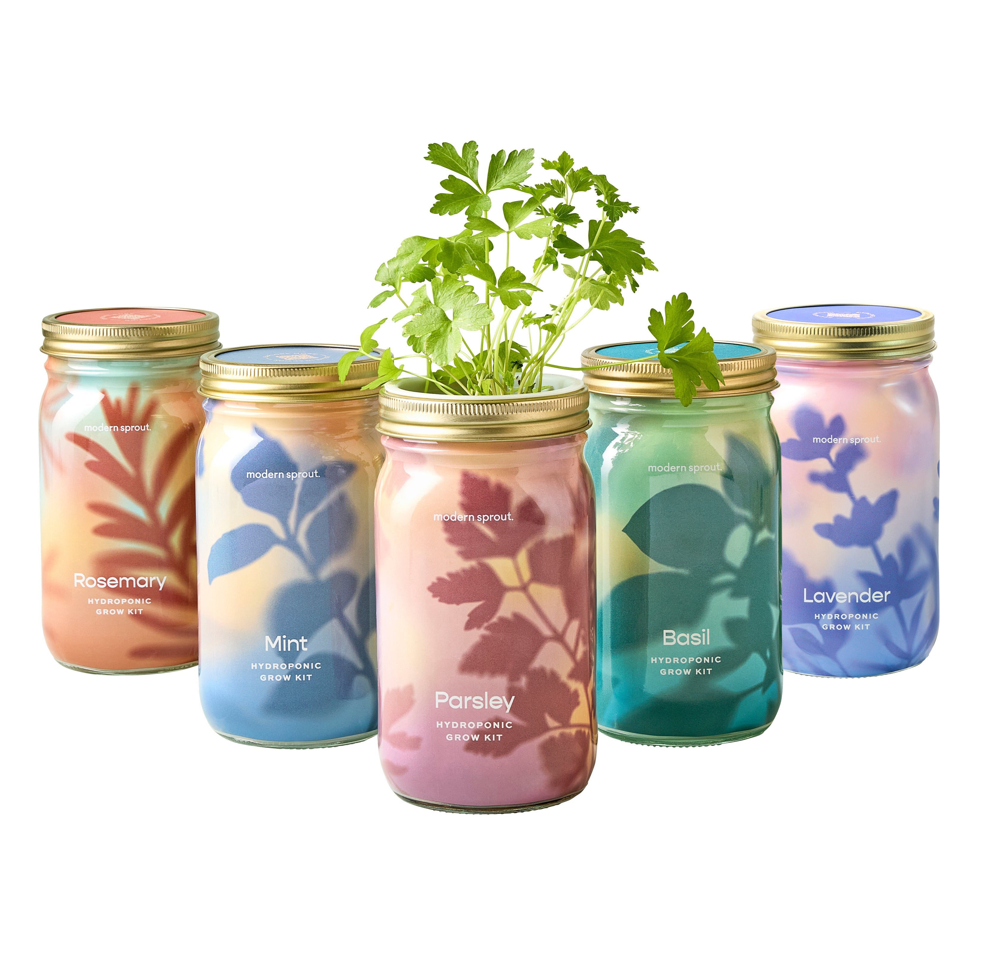 New! Garden Jars - Organic Herbs