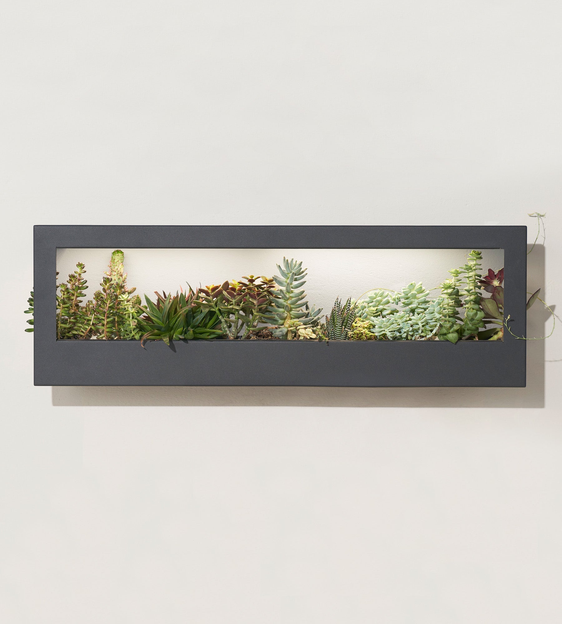 Smart Landscape Growframe