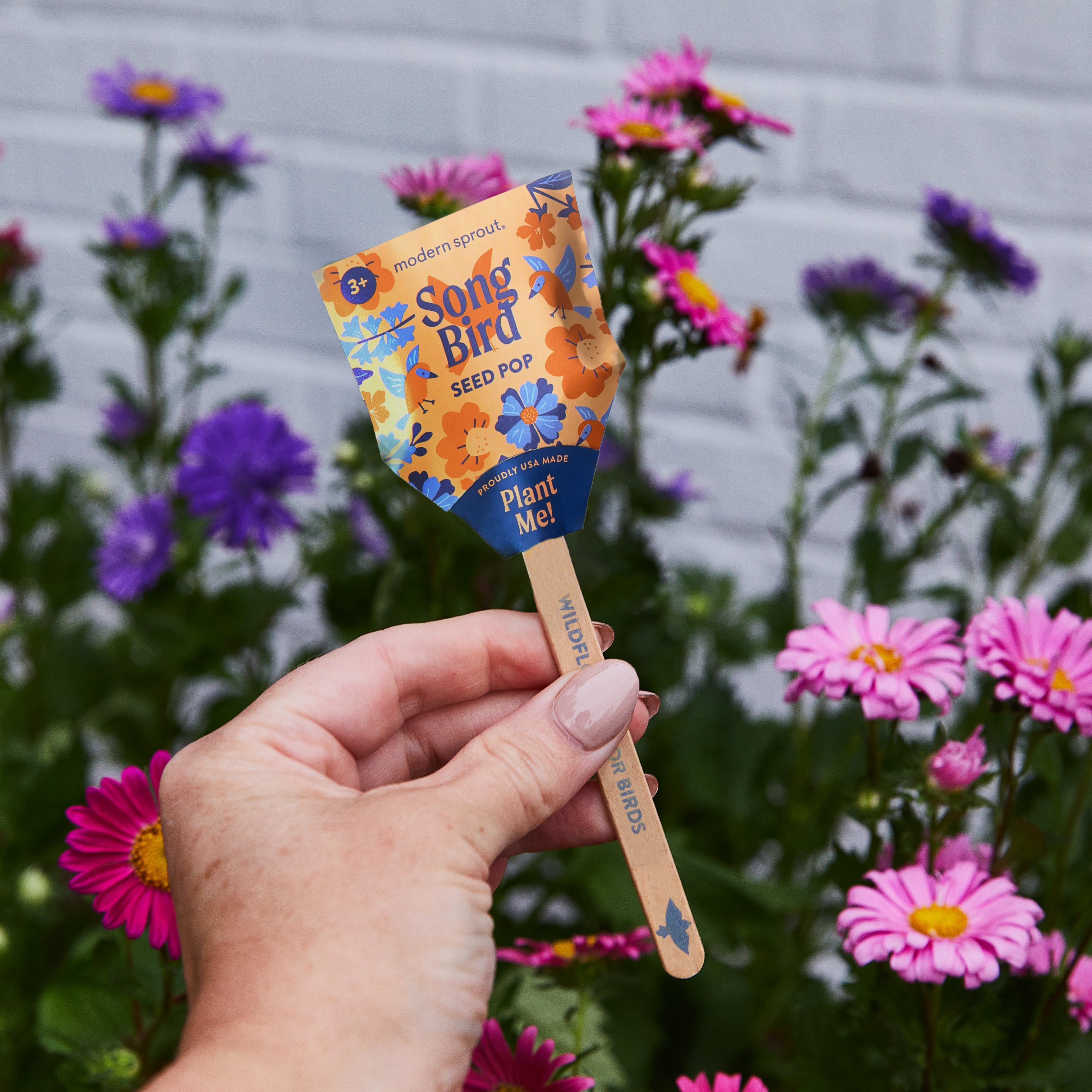 Seed Pops - Pollinator