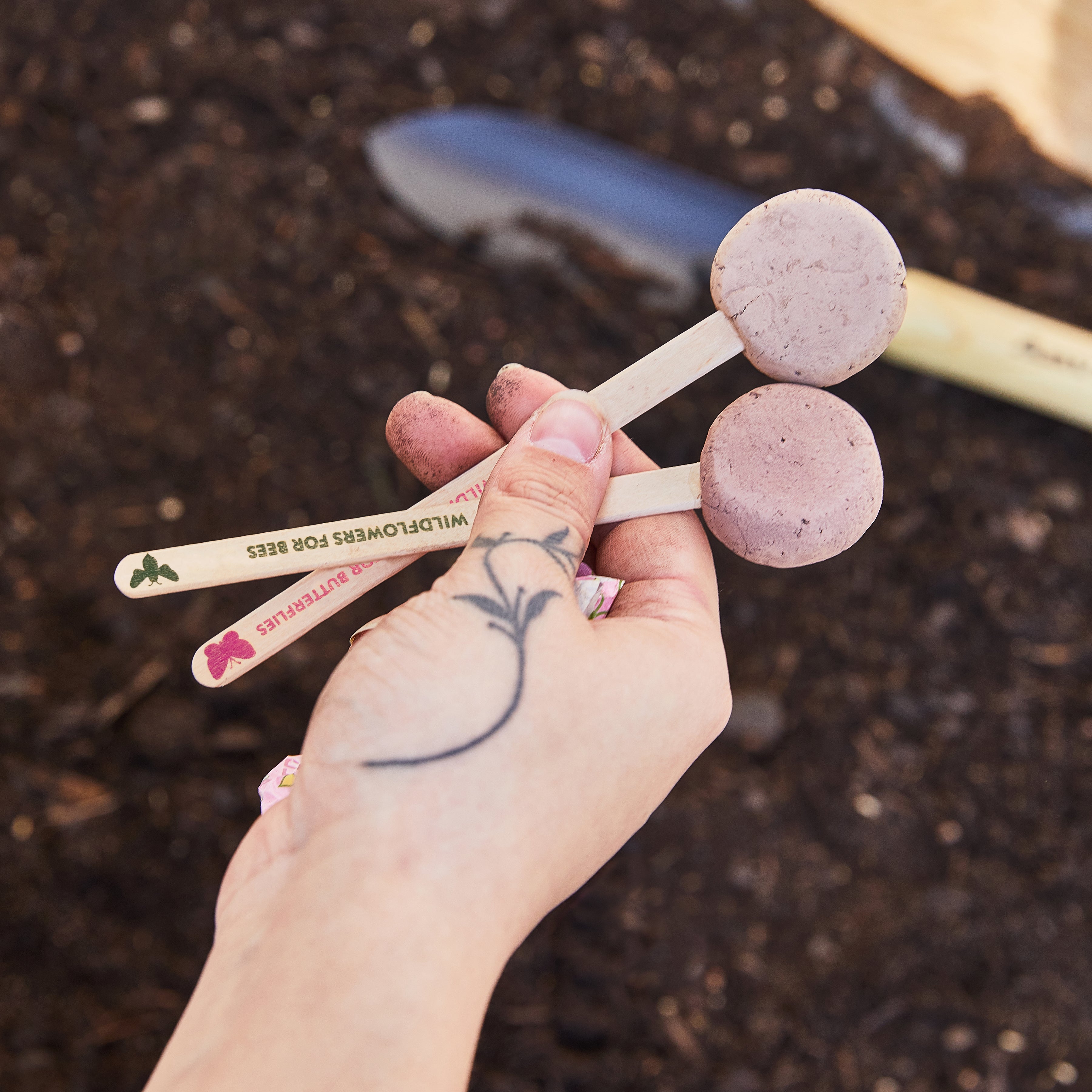 Seed Pops - Garden