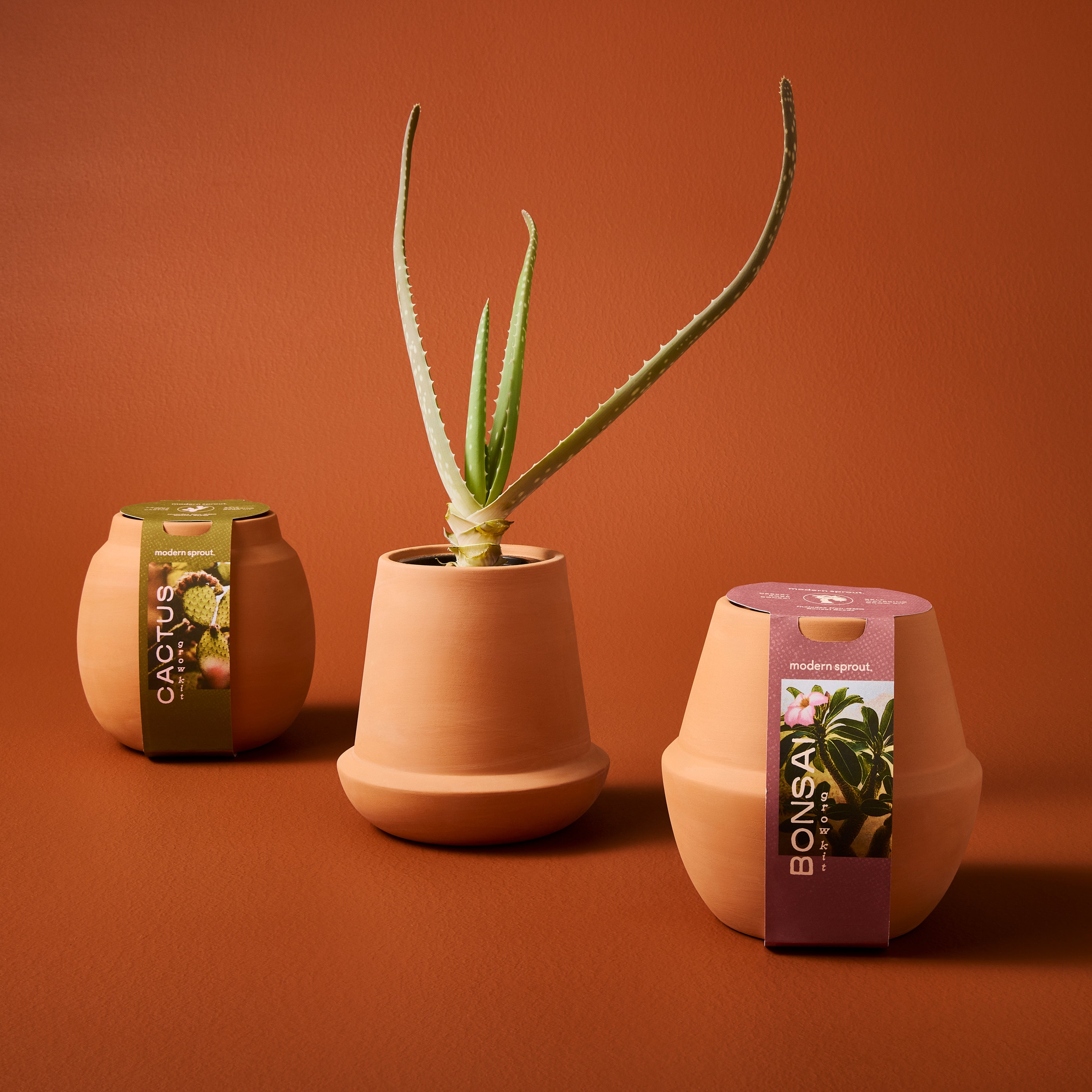 Modern Terracotta Grow Kits
