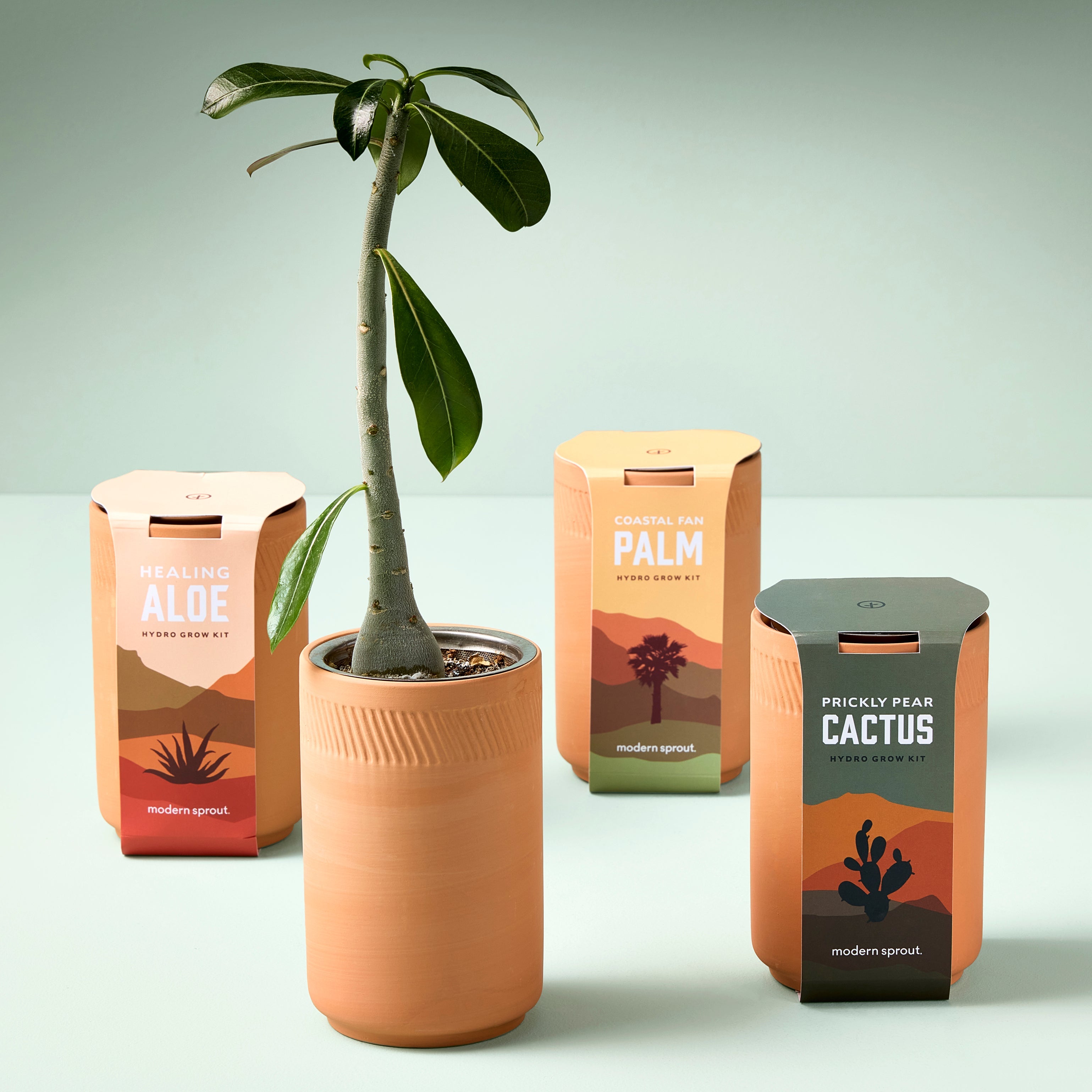 Terracotta Grow Kits