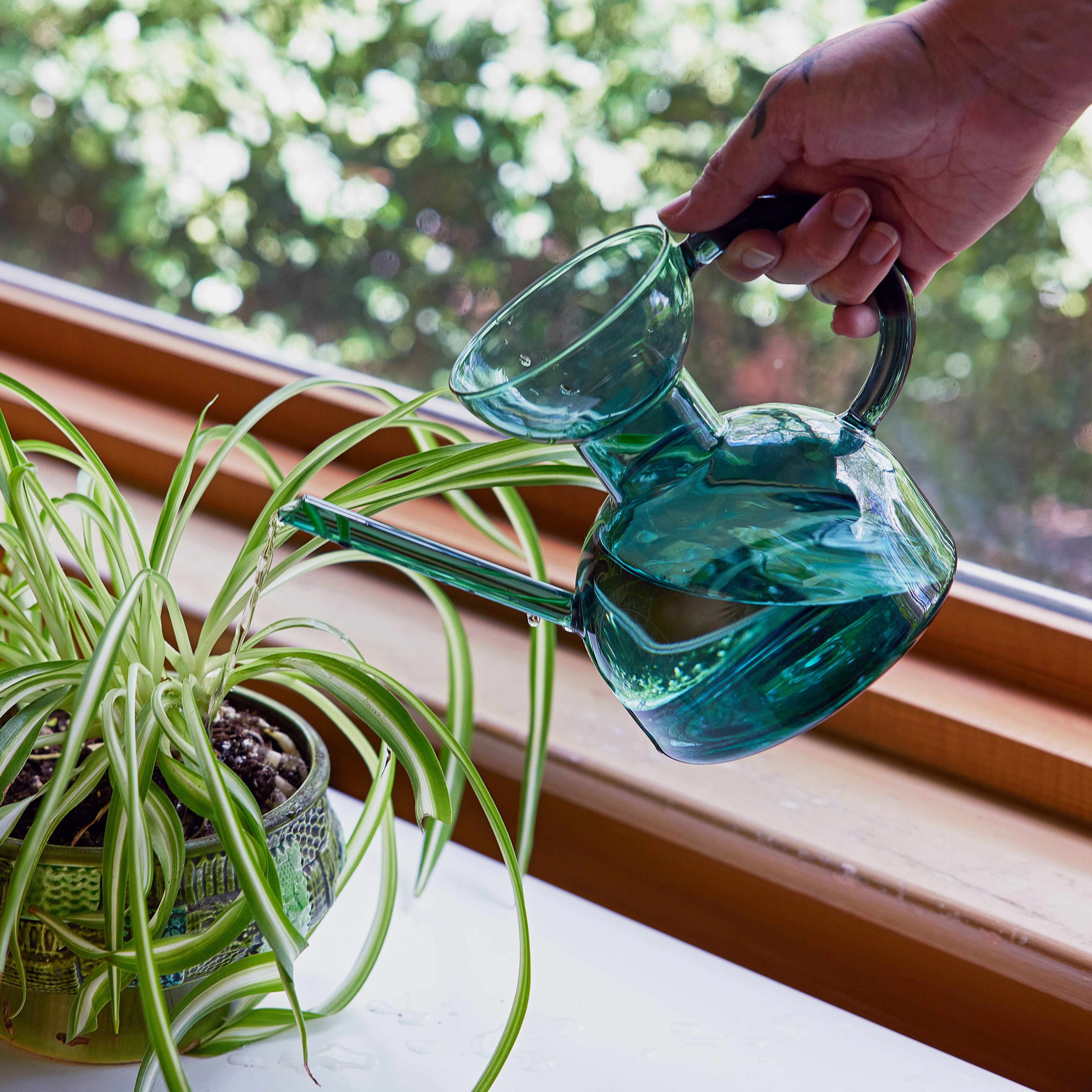 Glass Watering Can