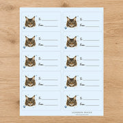 Maine Coon Pawprint Wishes Gift Tag Sticker Sheet