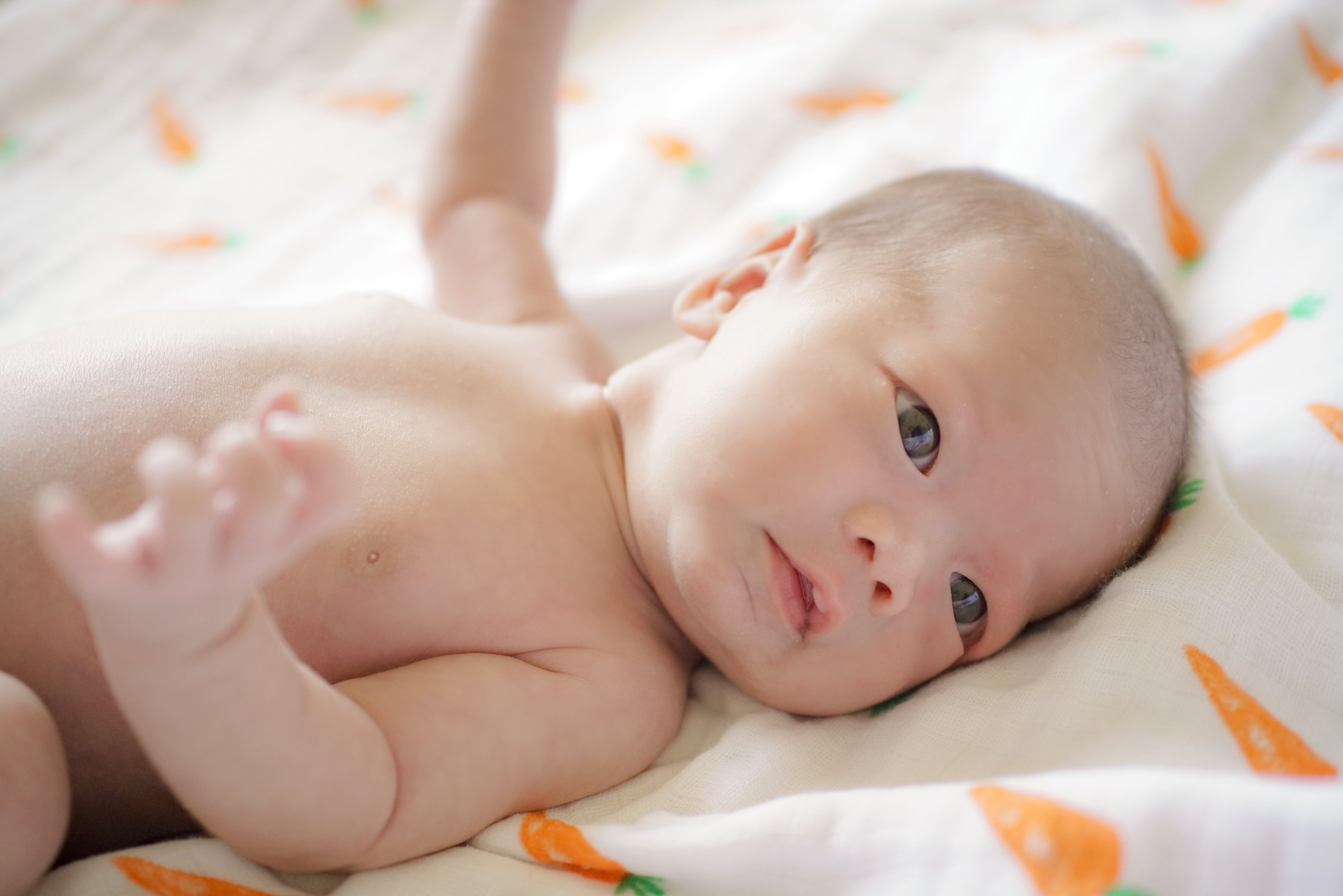 ORGANIC SWADDLE SET - FIRST FOODS (Avocado + Carrot)