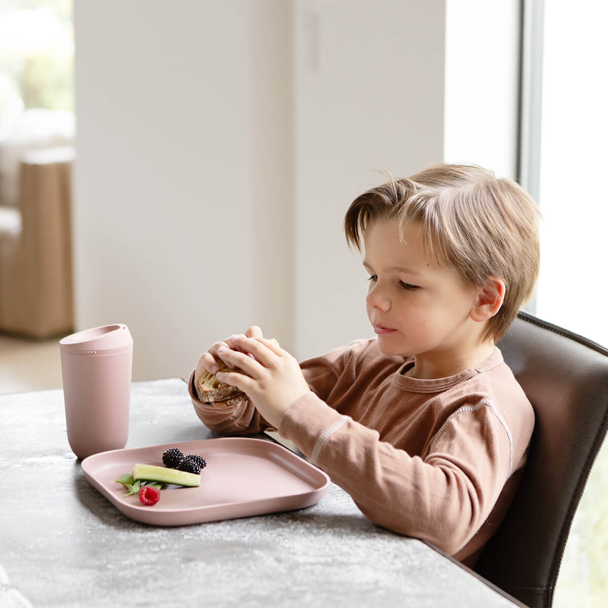 Mealtime Plate (2-pack)