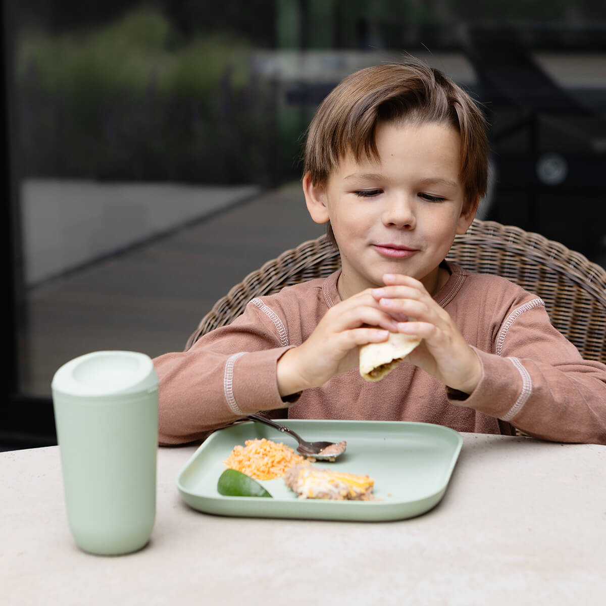 Mealtime Plate (2-pack)