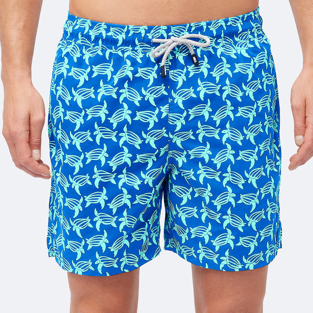 Blue & Ice Green Turtles