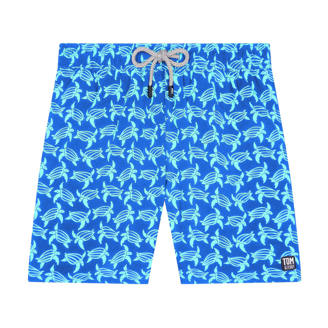 Blue & Ice Green Turtles