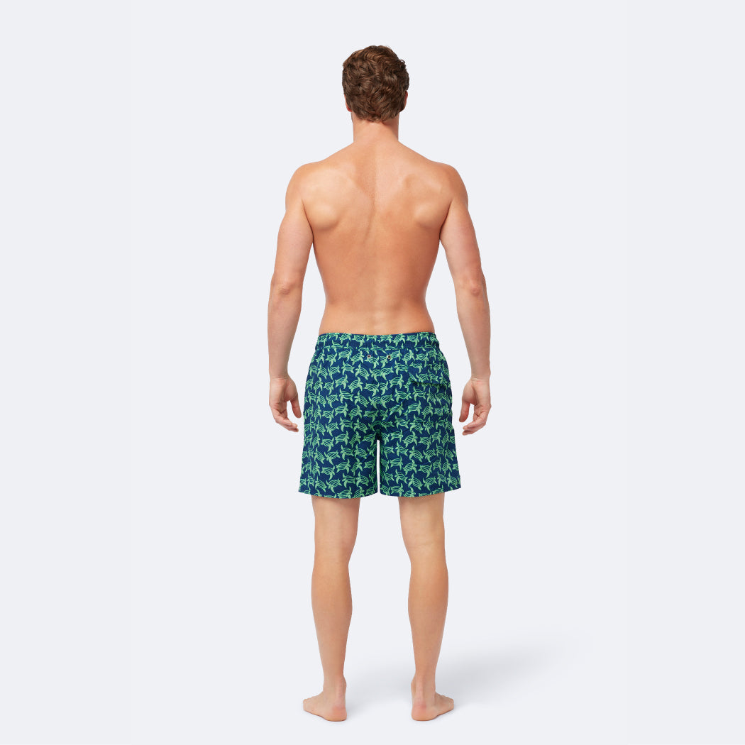 Navy & Green Turtles