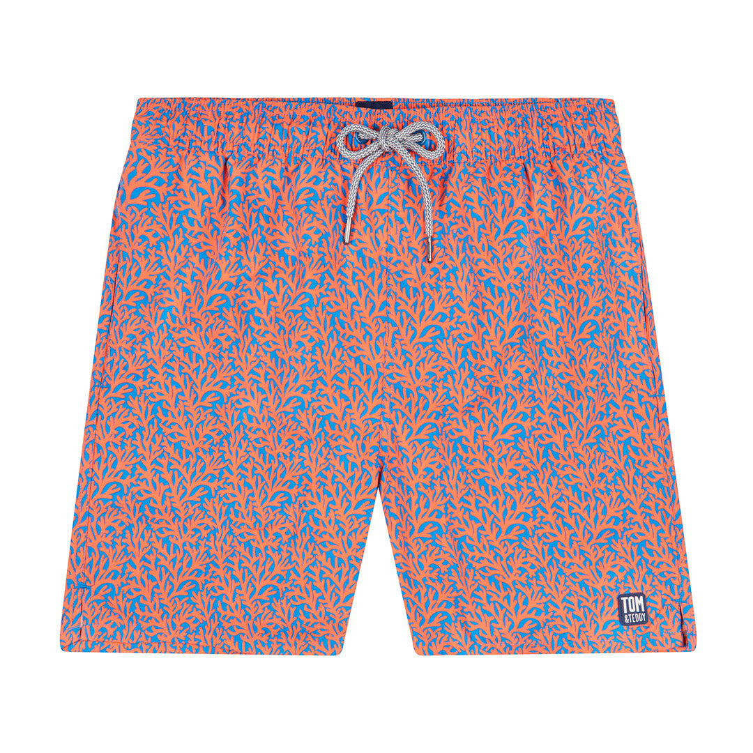 Mid Blue & Orange Coral