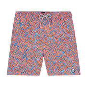 Mid Blue & Orange Coral