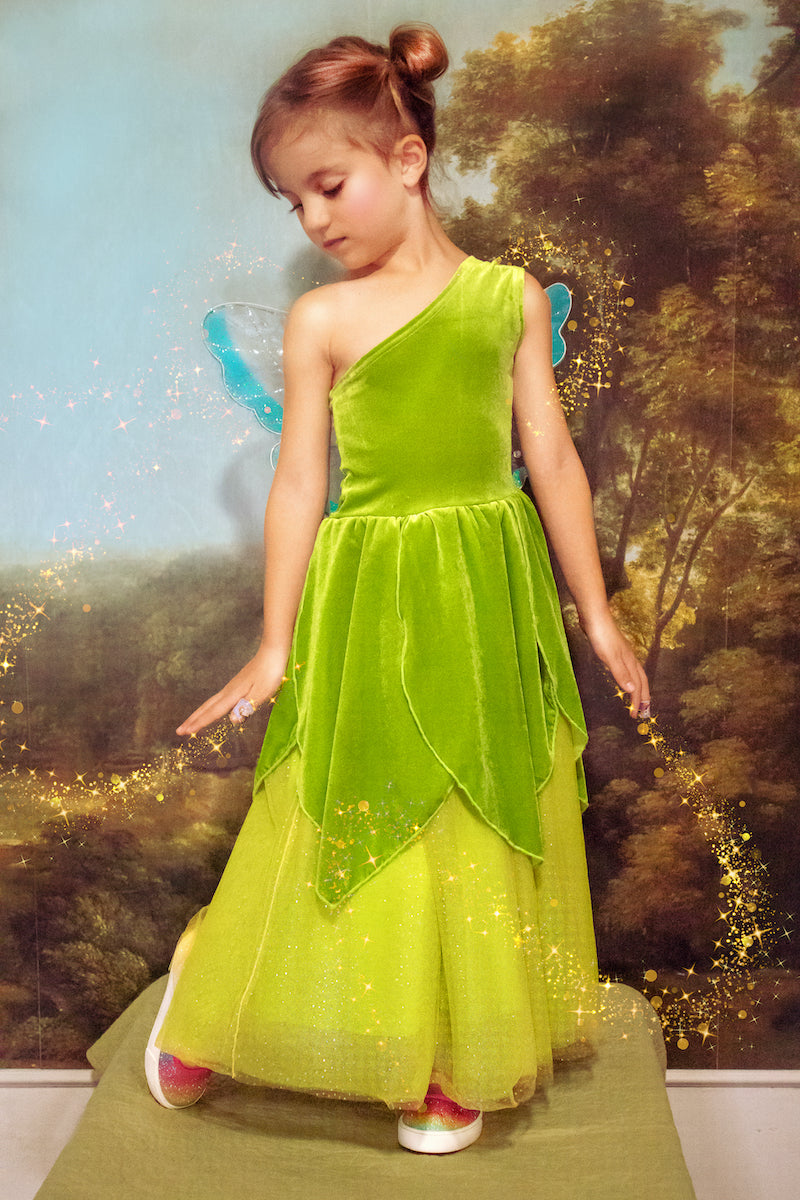 The Frog Princess Or Tinker Fairy Duo Costume Dress