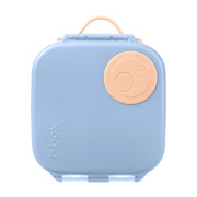 Mini Lunchbox - Feeling Peachy