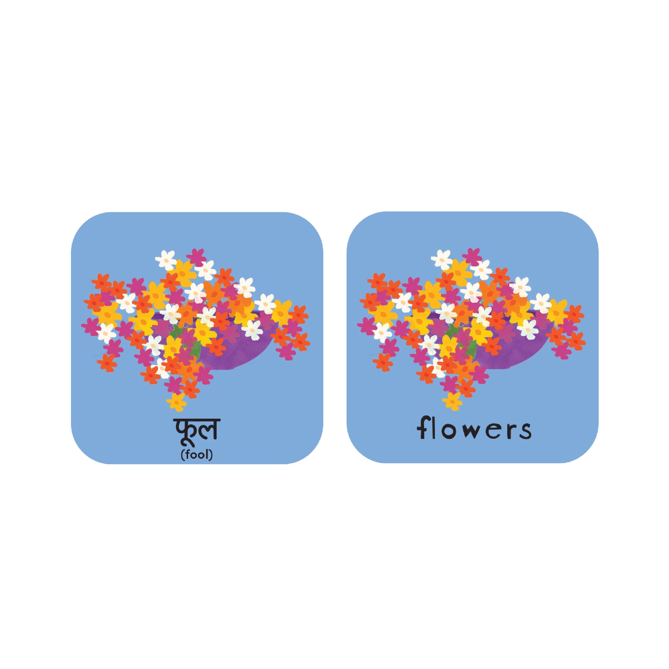 Minilingo, English/hindi Flashcards