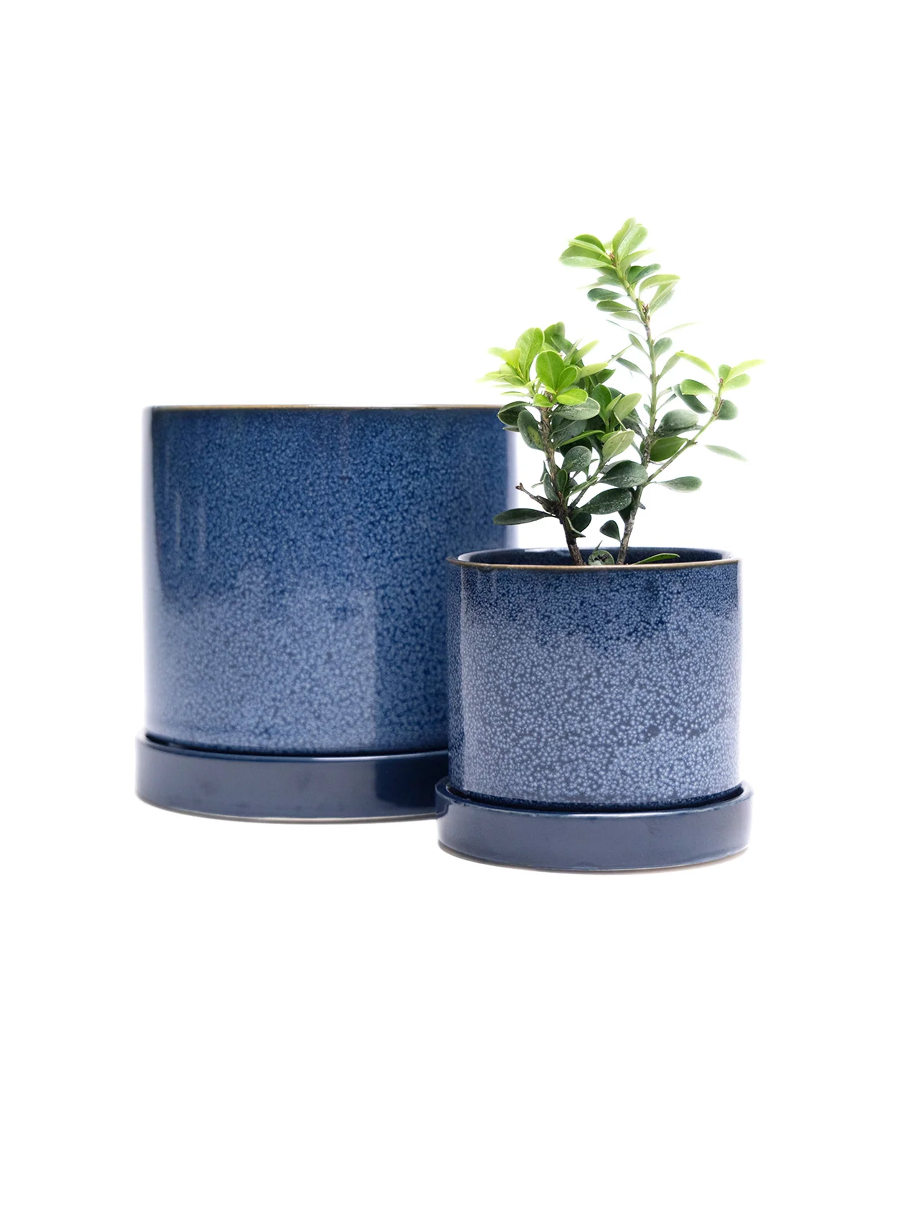 Cosmos Blue 3" Ceramic Plant Pot And Saucer