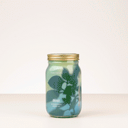 New! Garden Jars - Organic Herbs