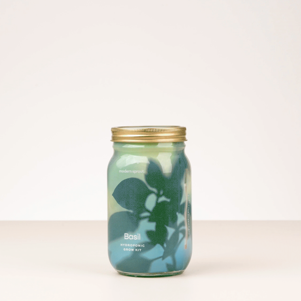New! Garden Jars - Organic Herbs