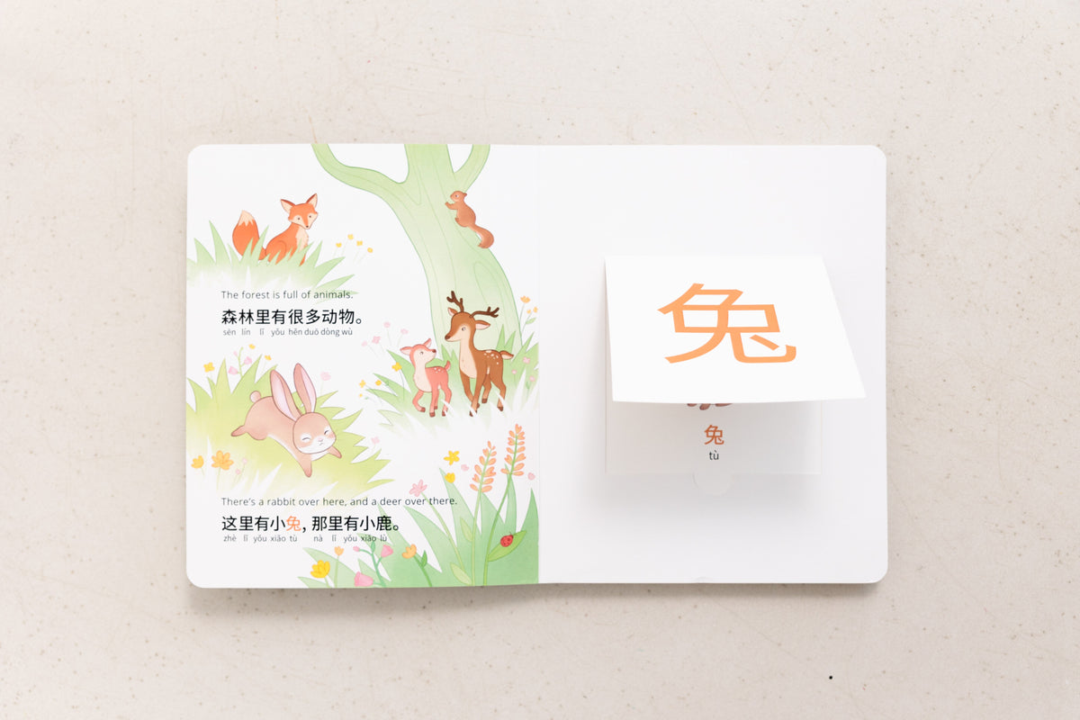 My Beautiful Earth: Simplified Chinese-english