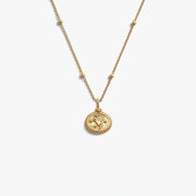 Capricorn Mini Gemstone Necklace