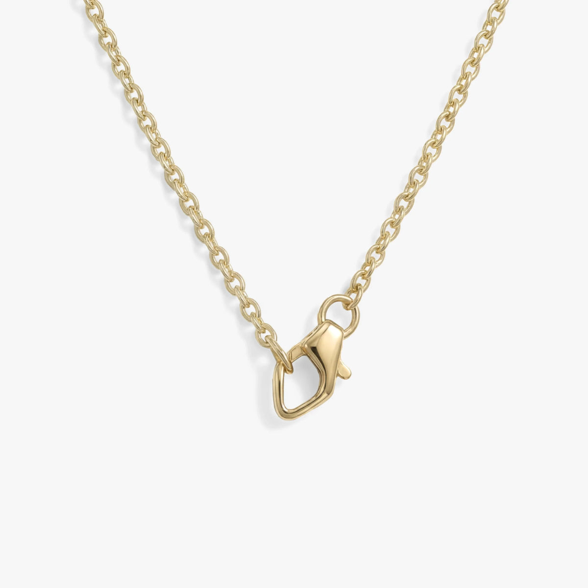 Collector Clasp Necklace