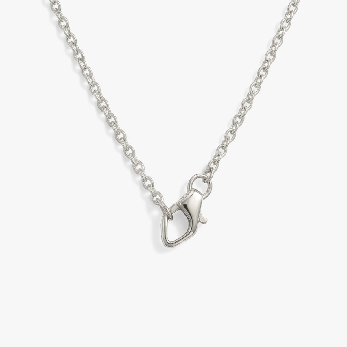 Collector Clasp Necklace