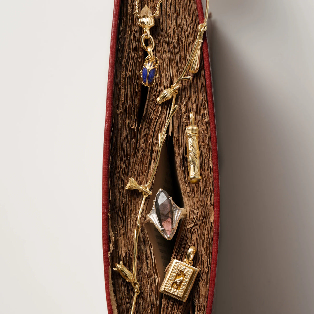 Deathwatch Beetle Collector Necklace