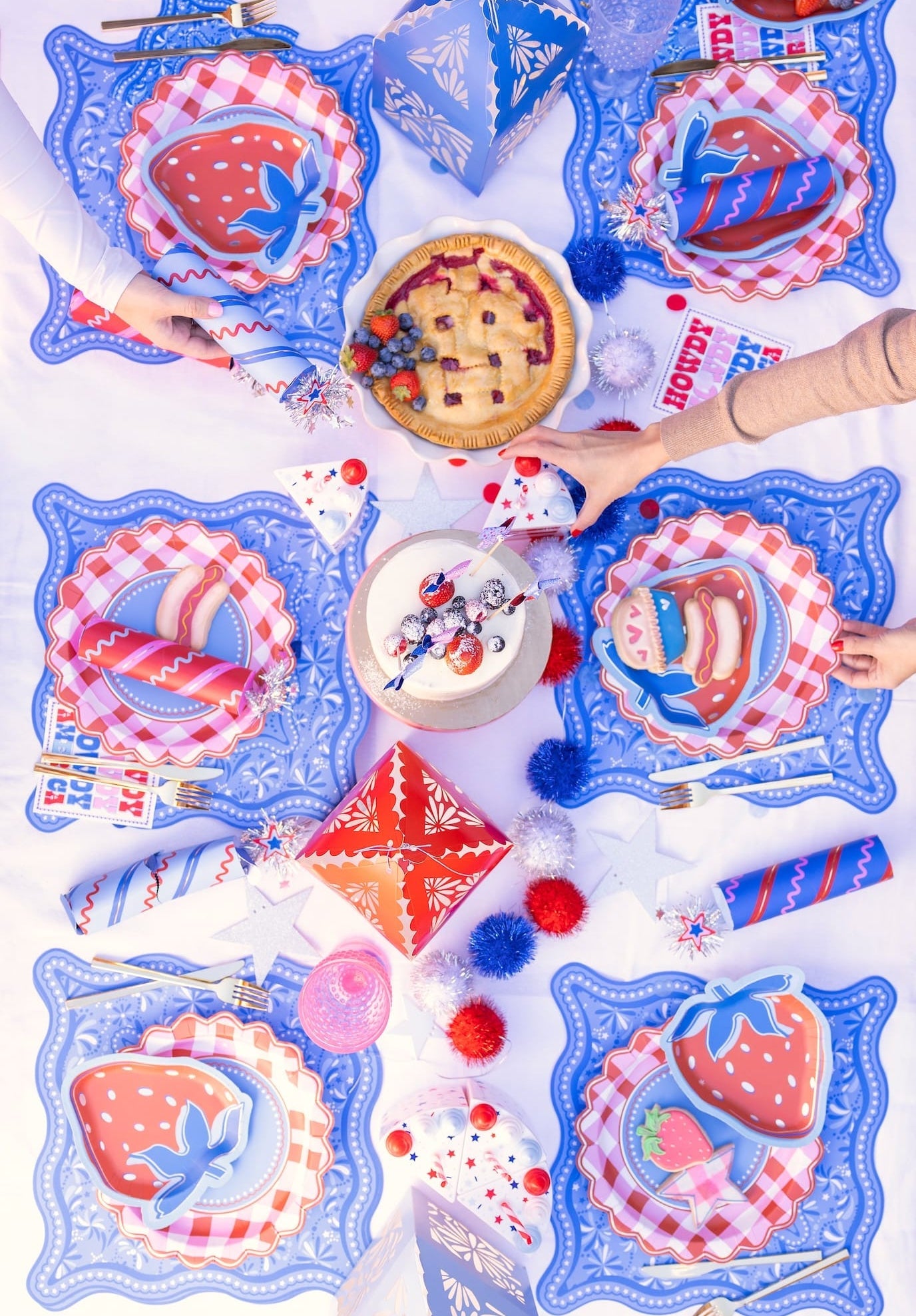 Picnic Perfect Gingham Dinner Plates (10 Ct)