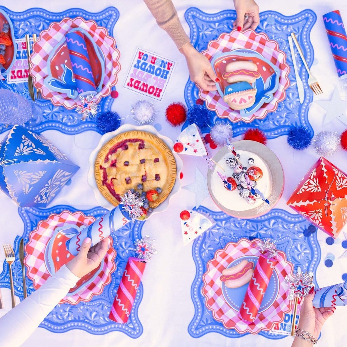Picnic Perfect Gingham Dinner Plates (10 Ct)