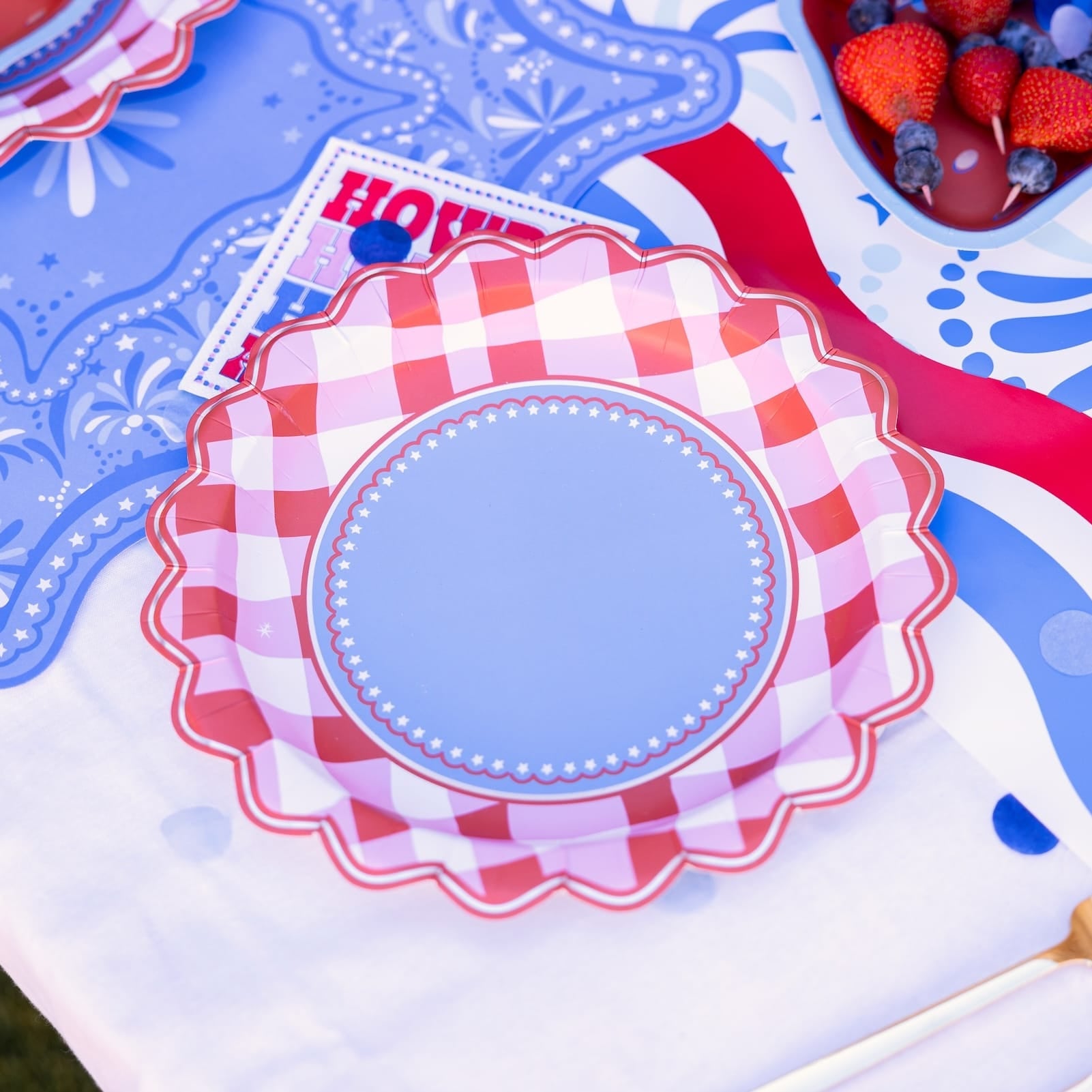 Picnic Perfect Gingham Dinner Plates (10 Ct)