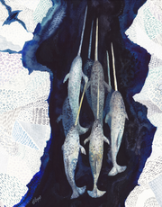 Narwhal, Emma Lopes