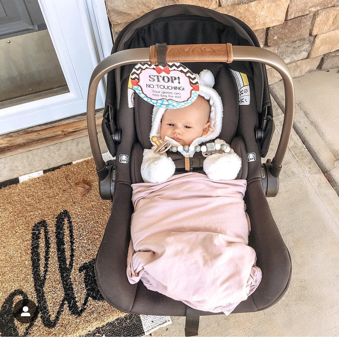 Girl Zig Zag Please Don't Touch My Baby Car Seat Sign Tag