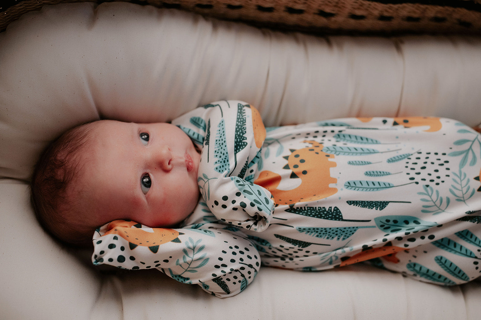 Dinosaur Themed Newborn Knotted Gown