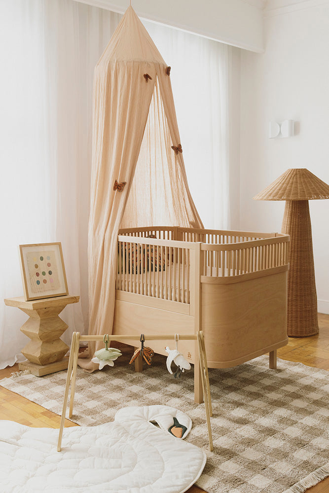 Canopy Crepe Swan Rose