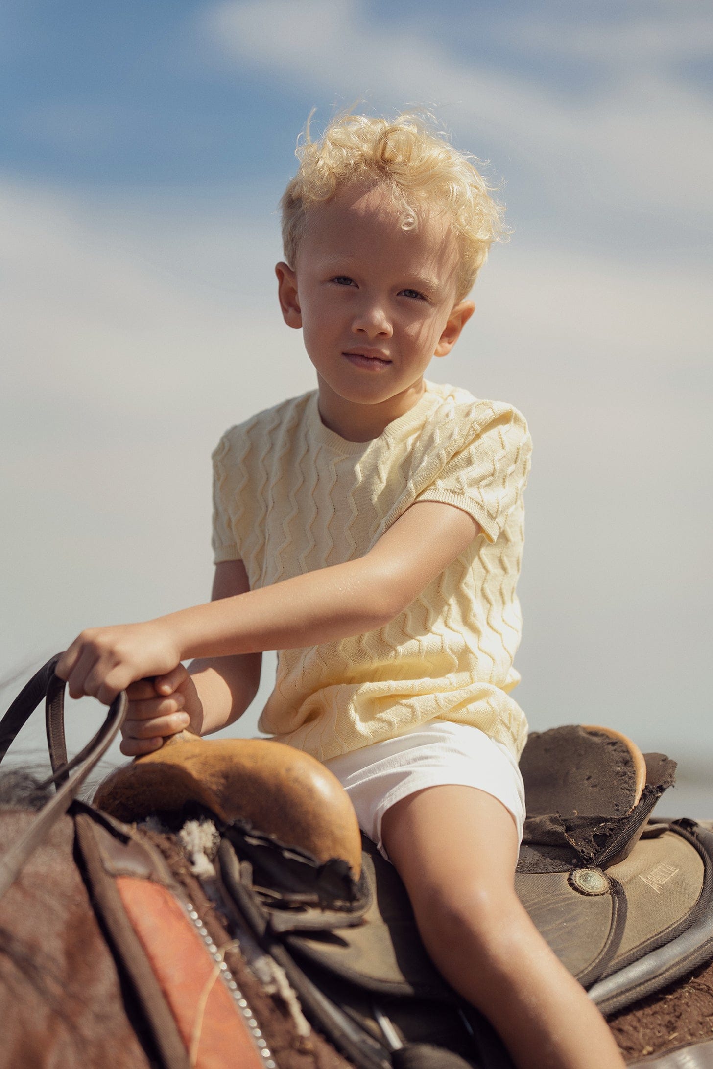 Charlie Knit Sweater