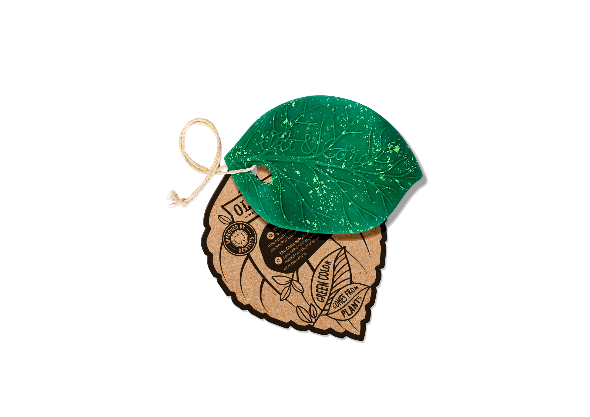 Chlorophyll Leaf