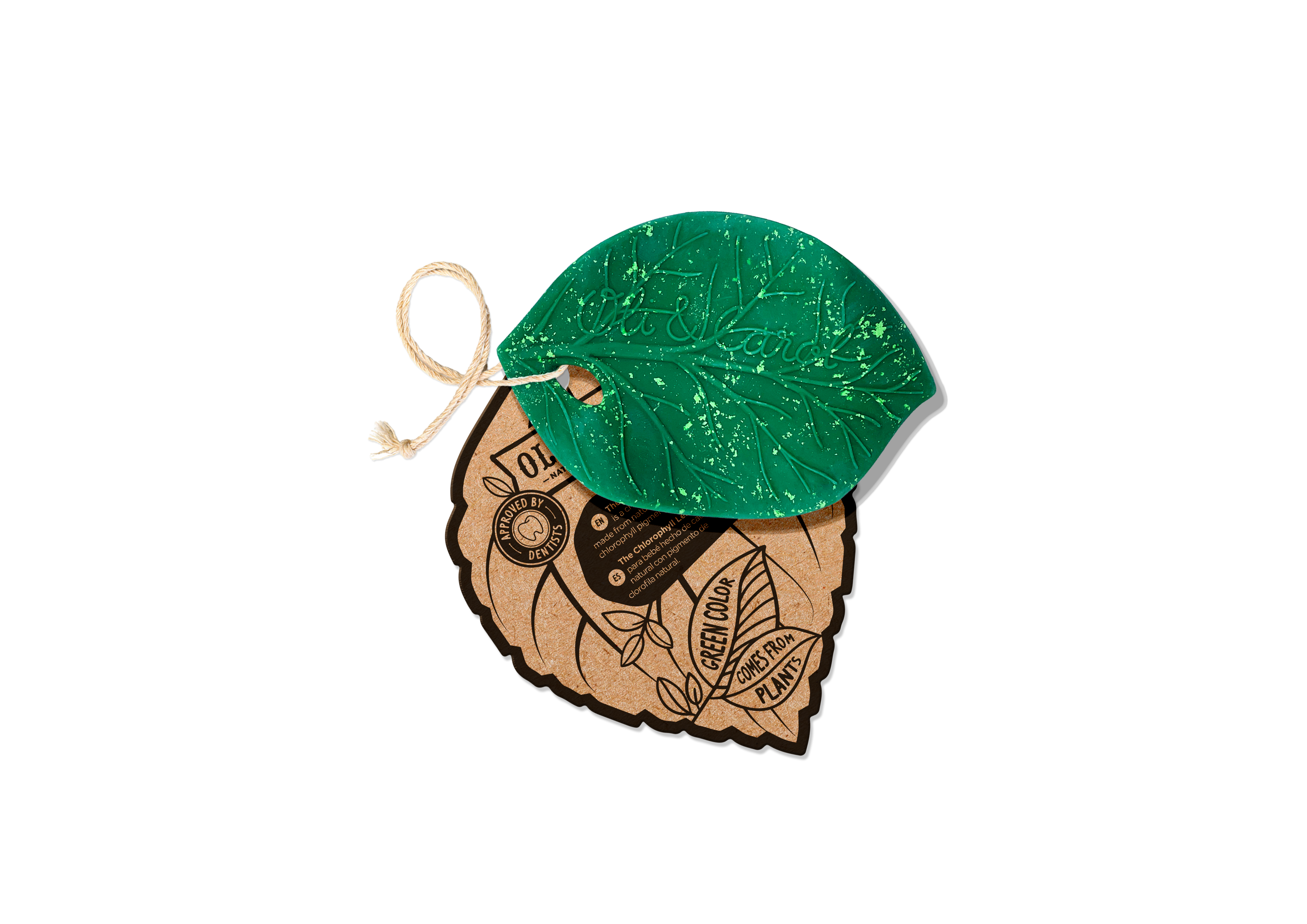 Chlorophyll Leaf