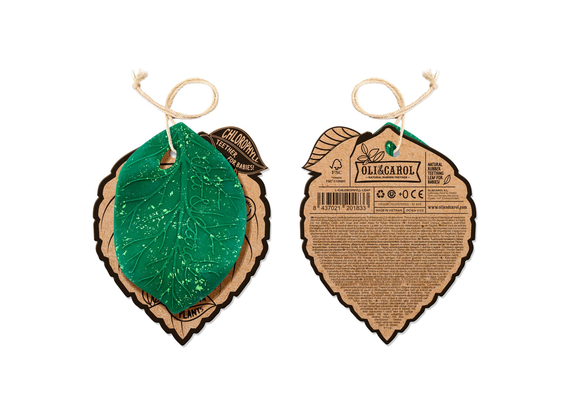 Chlorophyll Leaf
