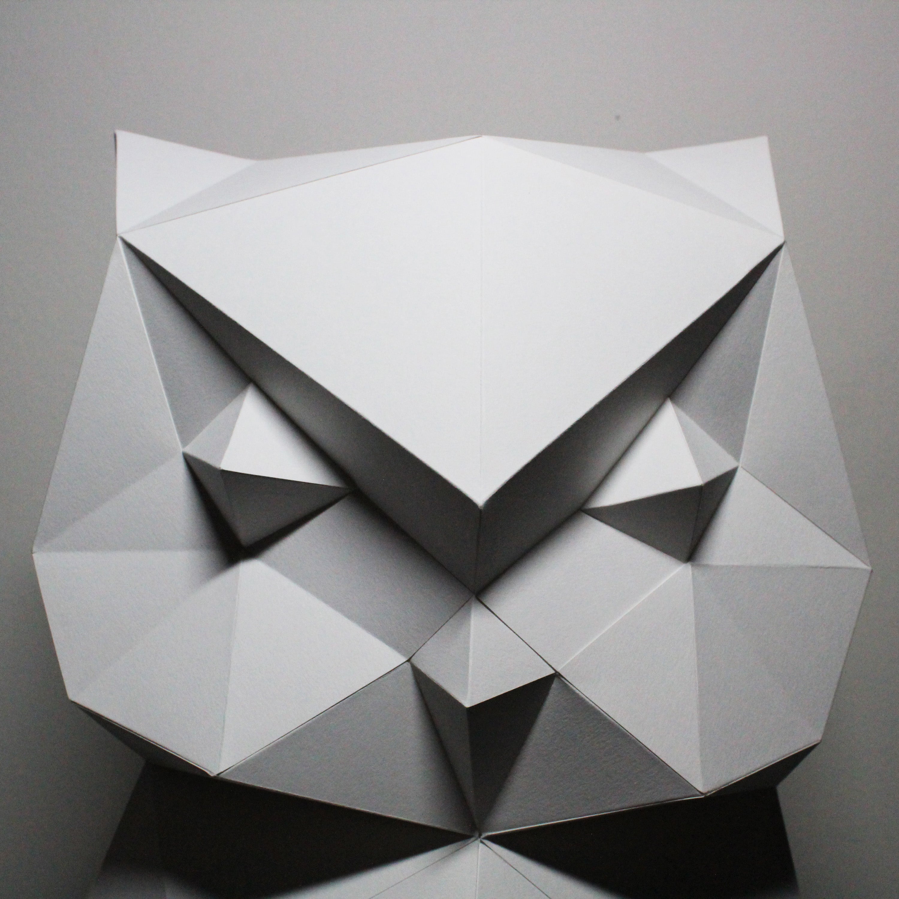 James The Owl | Diy Paper Craft Animal Kit