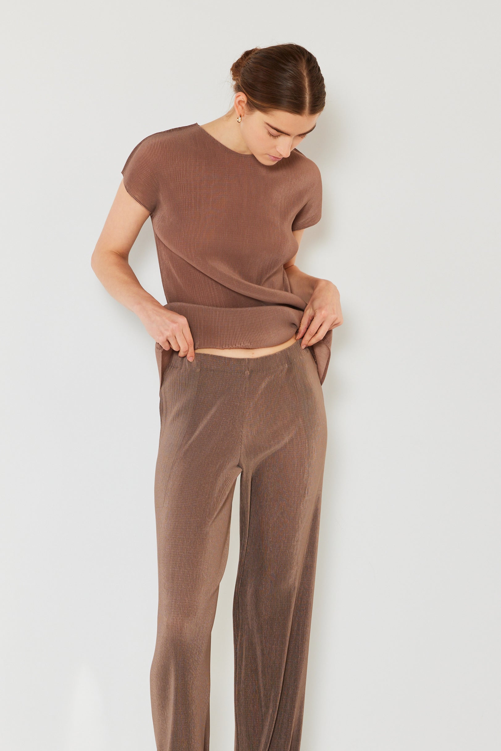 Pleated Long Pants W/ Slight Flare - P02bl_brown