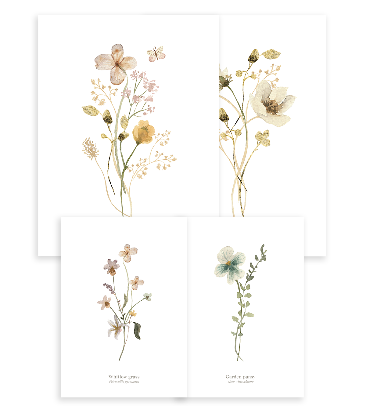 Mademoiselle - Set Of 4 Art Prints - Botanical Flowers