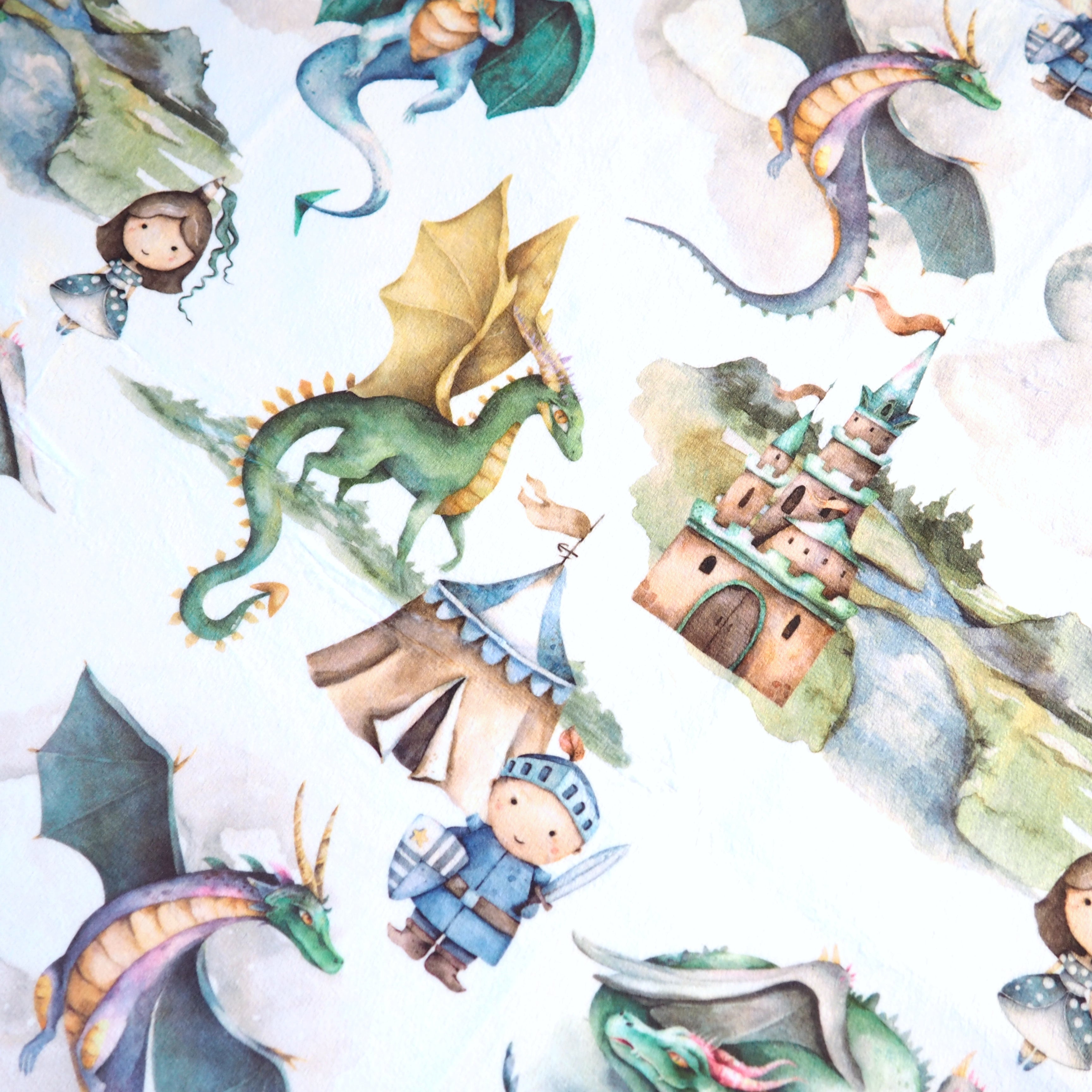 Dragons & Knights Minky Baby Blanket