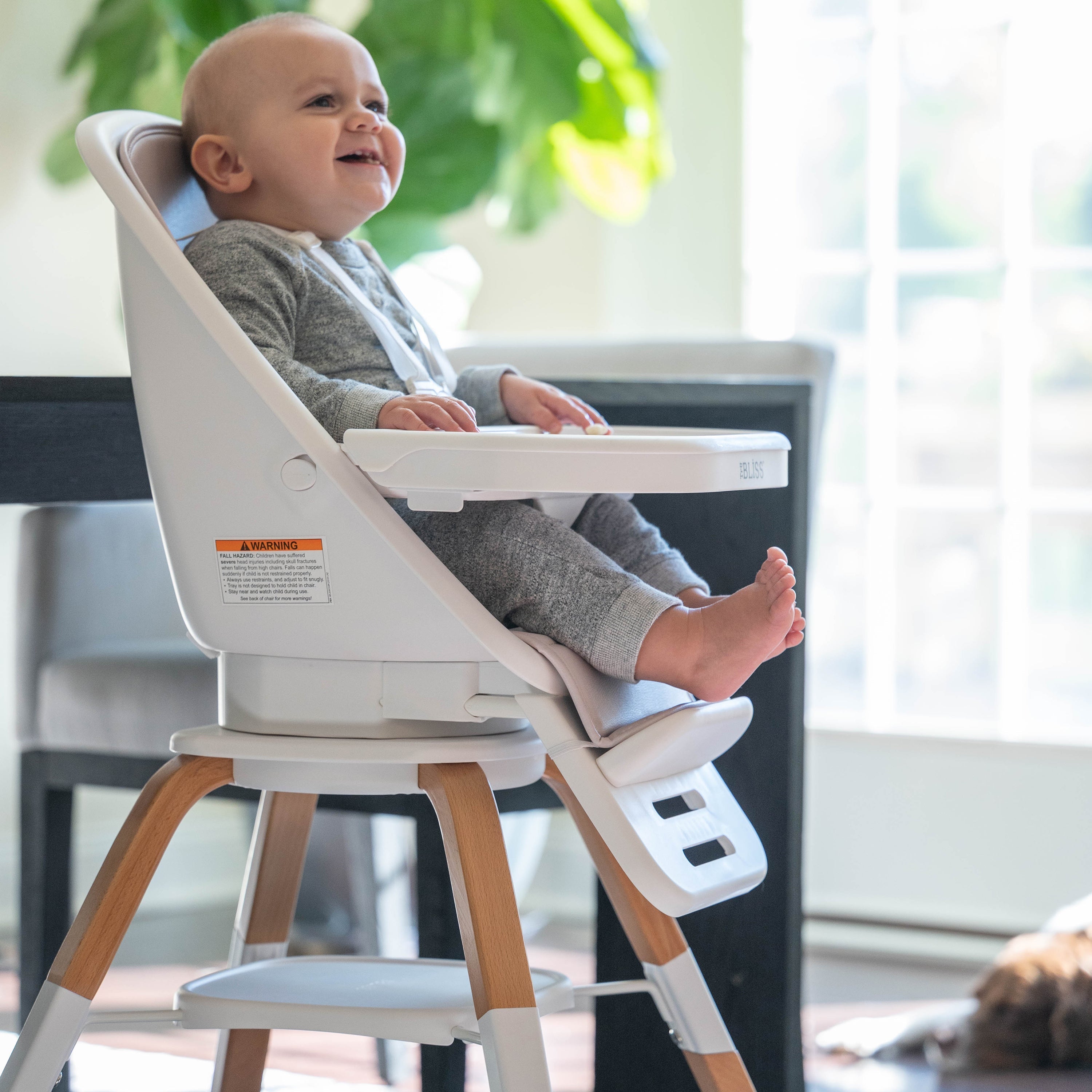 Copy Of 2-in-1 Turn-a-tot Highchair