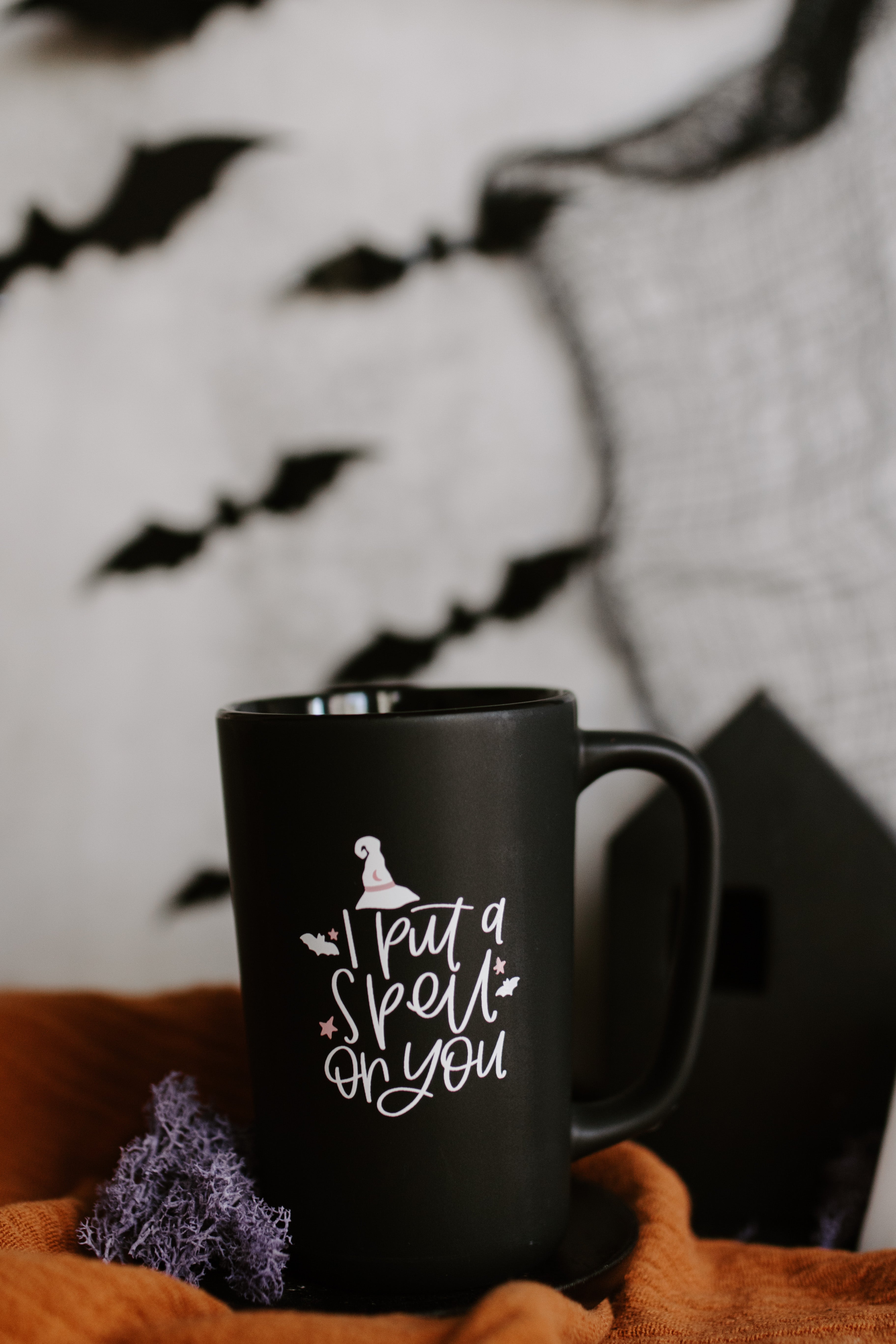 I Put A Spell On You Mug