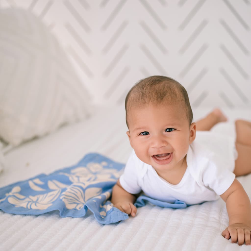 Plumeria Dreams Security Blanket