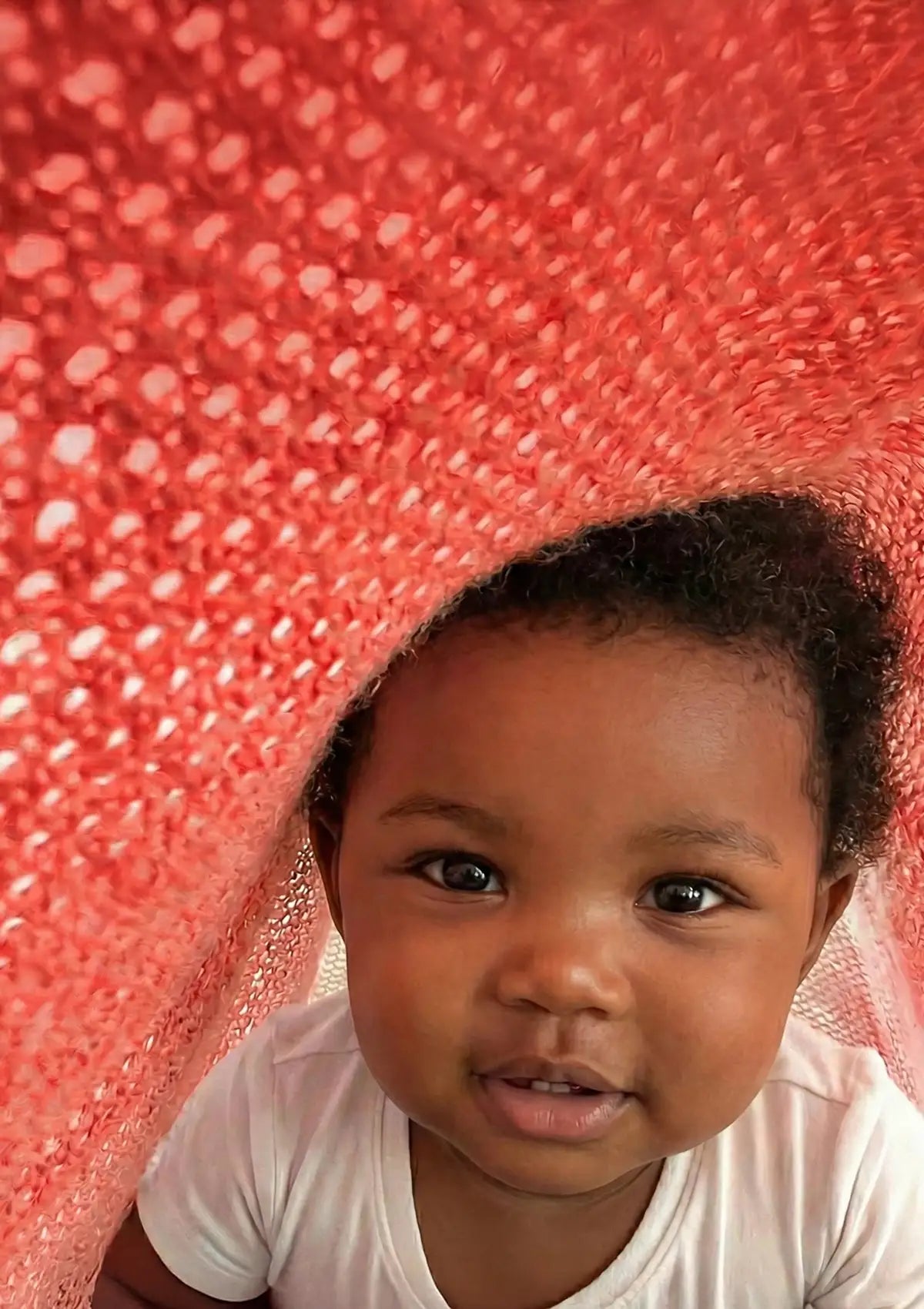 Coral Cocoon