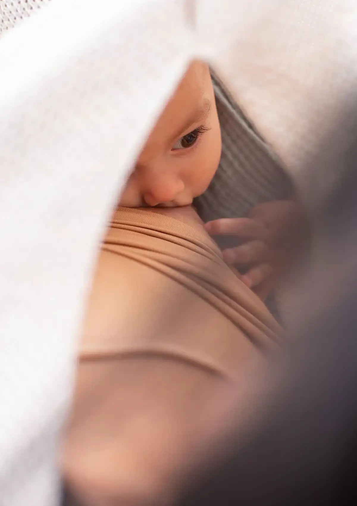 Ivory Cocoon