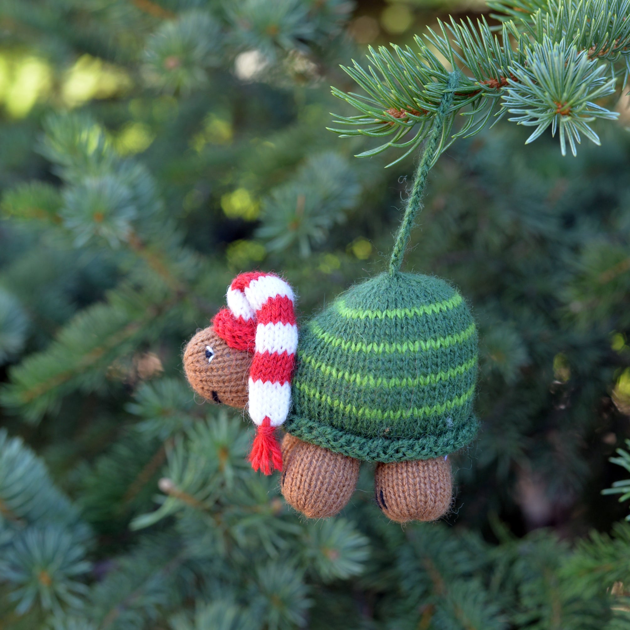 Turtle Ornament- Set Of 2