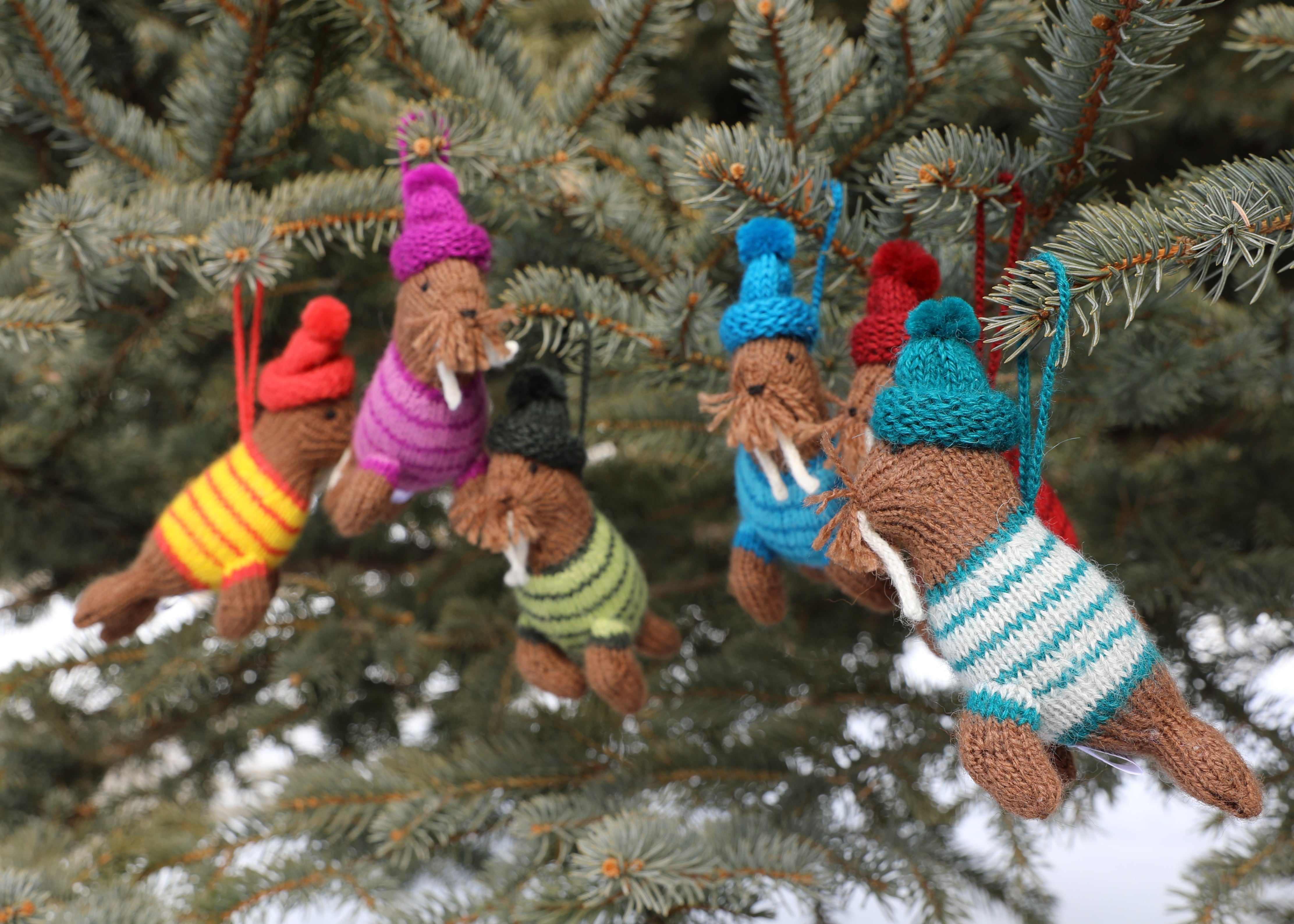 Walrus Ornament- Set Of 6